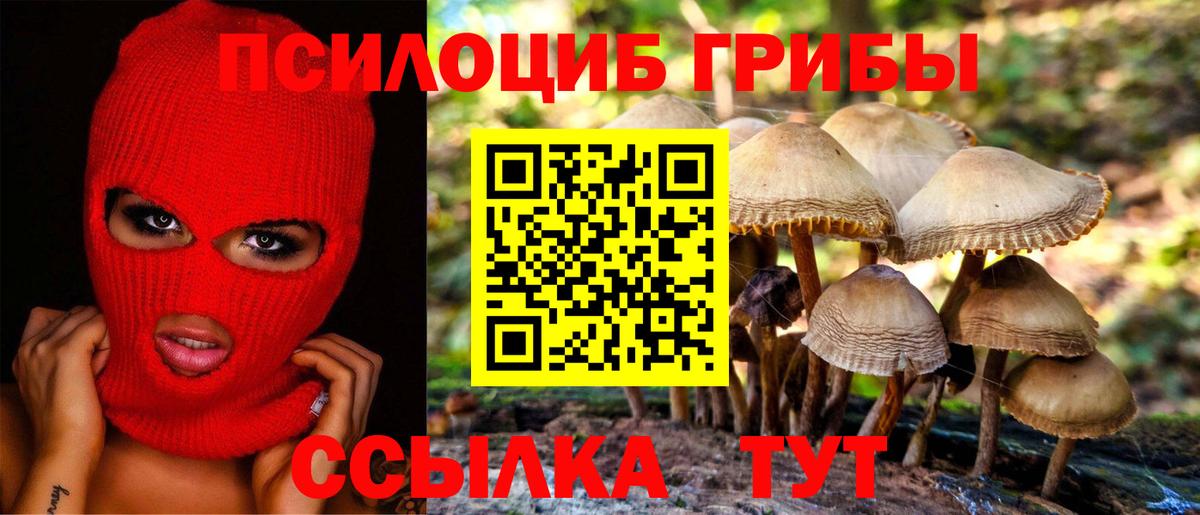 Псилоцибиновые грибы мухоморы Великий Устюг