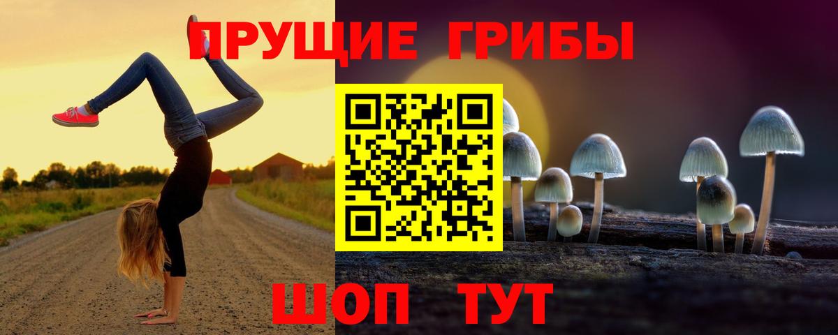 как найти закладки  Псилоцибиновые грибы ЛСД  Вход с VPN  Великий Устюг 